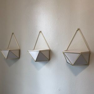 3 wall hanging succulent planters